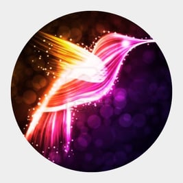 Der Archetyp Kolibri bringt dich zu den verlorenen Seelenanteilen und lässt dich wieder von der Fülle des Lebens nähren.