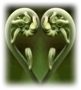 sgrossmanns Webseite!