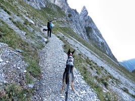 Auf dem Weg zum Gatterl, kurz vor dem Steig auf das Zugspitzplatt