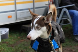 Nuki im Dezember 2018