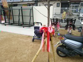 卒園記念樹（サクラ：ソメイヨシノ）植栽＠奈良県大和高田市