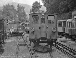 801-0081-0181-203 Foto: Thierry Garcin