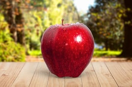 Jimdoテストページ