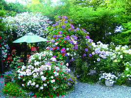 ※春のお庭イメージ