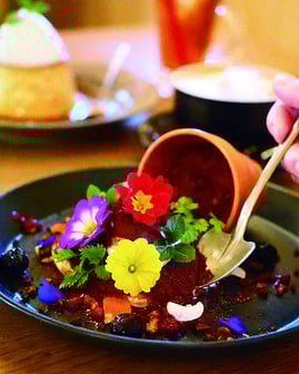 MEGティラミス～果実～ 660円（税込）