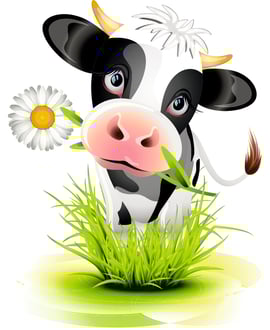 Partyhof / Kindergeburtstag auf dem Bauernhof / Geburtstag /Dickbuch / Hofstetten