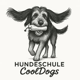 hundeschule-cooldogs.de