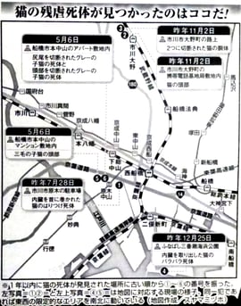 千葉 船橋 市川　猫の残虐死体が見つかったのはココだ！
