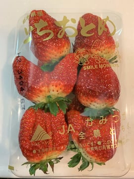 いちご　とちおとめ　東京デザインセンター　栃木県家具　鹿沼市　東京インテリア