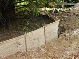 Henzelmann Baumpflege Baumschnitt Fällung Spezialfällung Stockfräse Strunkfräse Pflanzung Arbeiten Spiez Bern Oberland Wallis Kanton Baum Bäume