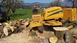 Wurzelstöcke ausfräsen, Henzelmann Baumpflege Baumschnitt Fällung Spezialfällung Stockfräse Strunkfräse Pflanzung Arbeiten Spiez Bern Oberland Wallis Kanton Baum Bäume