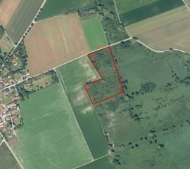 LBV Donau-Ries hat im Landkreis Fläche die der Natur gehört und nicht Bebaut oder Zerstört werden kann.