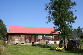 Przepiękna chyża w Wysowej / Fot. Dorota Wolanin