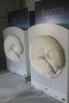 Oso Polar, carteles 3D para prsentación de Pelicula Tierra, Festival de San Sebastián