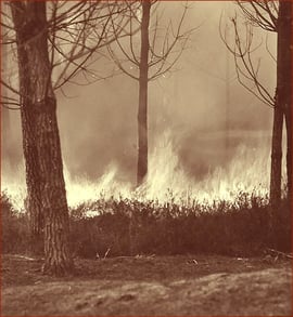 orthe, feu, foret, incendie, pignada, mirador, prevention, landes, aquitaine, etigny