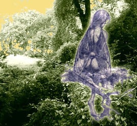 orthe, peyrehorade, landes, aquitaine, peche, lamproie, adour, gave, arthous, cagnotte, sorde, barthes, radelage, alose, saumon, port de lanne, lavoir, couralin, hastingues,  tilhole, galupe