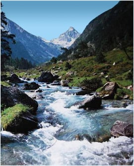 orthe, adour, peyrehorade, landes, aquitaine, peche, lamproie, pyrenees, gave, arthous, cagnotte, sorde, barthes, radelage, alose, saumon, port de lanne, couralin, hastingues,  tilhole, galupe