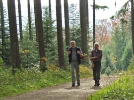 Westweg im Nordschwarzwald. Wanderung mit Manfred Wilhelm. Foto Rainer Sturm