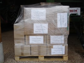 Un palette au départ mai 2005