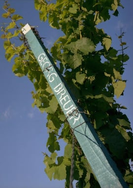 Weinberg Georg Breuer - Copyright by Georg Breuer