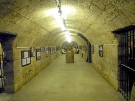 Musée du vin det du négoce à Bordeaux