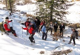 sortie "initiation en raquettes à neige"