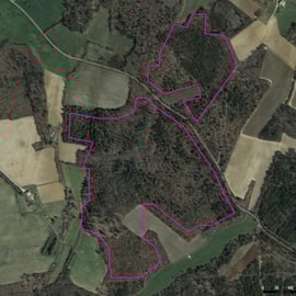Le projet de ferme solaire de Saint Trinit entrainerait un déboisement de 28 hectares.