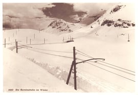 Photo Alb. Steiner, St. Moritz. Photodruck u. Vertrieb Wilh. Pleyer, Zürich