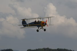 Die Picknickgäste fliegen ein