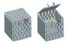 Boite ADN - Ebbe S. Andersen, Aarhus University