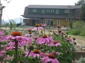 ハーブカフェ『ゼルコバ』