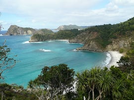 「東洋のガラパゴス」小笠原諸島　　Photo by phaphapha