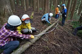 倒した木は、運び出しやすいよう適当な長さに切る「玉切り」や、余分や枝や節をノコギリで切り落とす「枝払い」などの作業も行う