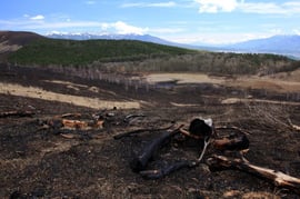 奥に見える池のまわりが踊場湿原。左手の山も燃えてしまった