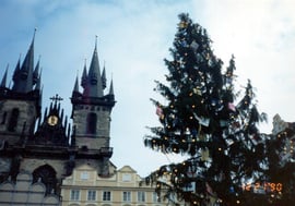プラハ旧市街に立てられた大きなクリスマス・ツリーとティーン教会