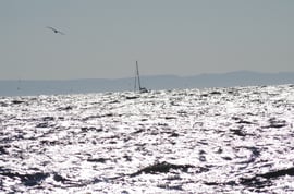Starker Seegang vor Port Ellen (Islay)