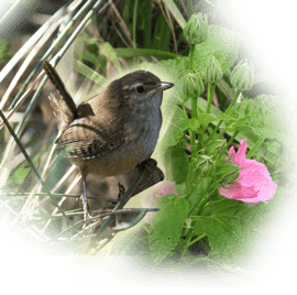 orthe, inondation, peyrehorade, landes, aquitaine, peche, lamproie, pyrenees, gave, arthous, adour, sorde, barthes, radelage, alose, saumon, port de lanne, couralin, hastingues,  tilhole, galupe