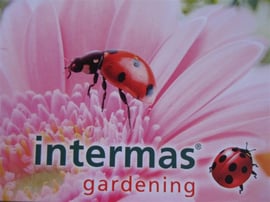 JARDINERAS DE MADERA