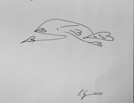 Herzschlummer, Tusche auf Papier, 16x 23 cm, 20€