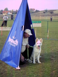 Junghundeschule 2007