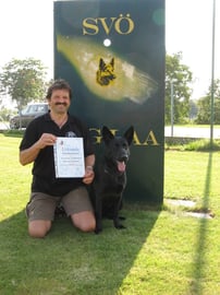 1.x IPO 3  286 Pkt. Vorzüglich