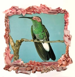 Die Ärzte waren nicht ganz sicher, ob es eine Fleischkäse Overdose war bei Joggi