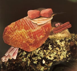 Im Nestli haben sie es wieder lustig heute