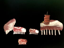 Im Gecken Gehege ist was los heute!