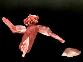 Gerda im Agility mit Josh (Golden Retriver Männli). Er folgt noch nicht so