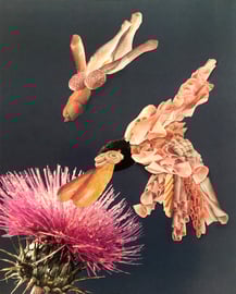 Krass, was Michael alles sah mit dem Nachtsichtgerät!