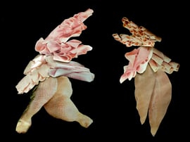 Gülsha und Irmi haben sich den gleichen Slot in der Waschküche reserviert