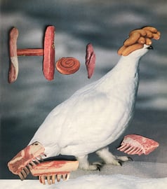 Als das Schneehuhn die Welpli ausführte, hat Michael ganz klar ein 'Hoi' gehört! (dabei machen Schneehühner eher 'Wow'..?!)