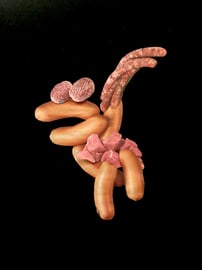 Ursula kommt aus dem Dortmunder Tierpark und wird gerne mit Silberrücken gekreuzt, sie hat gute Gene scheints