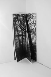 Boom gevouwen blaadjes